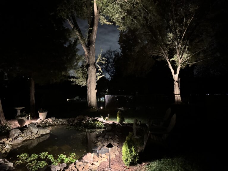 pond-blog